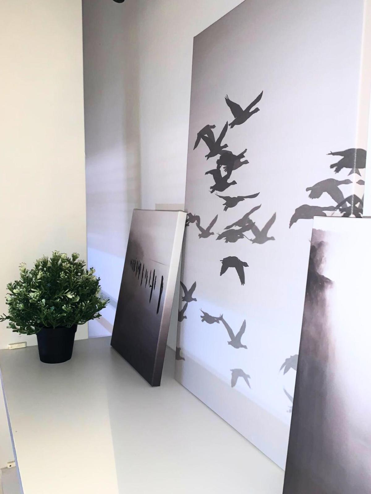 Bellaria Beach Apartments Ngoại thất bức ảnh
